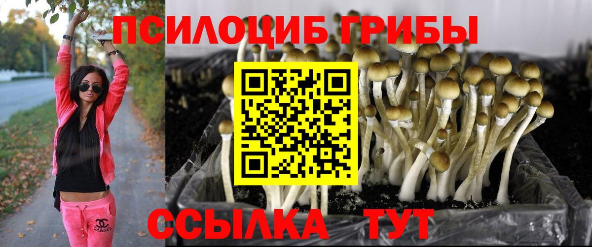 Галлюциногенные грибы прущие грибы  Вход с VPN  Карасук 